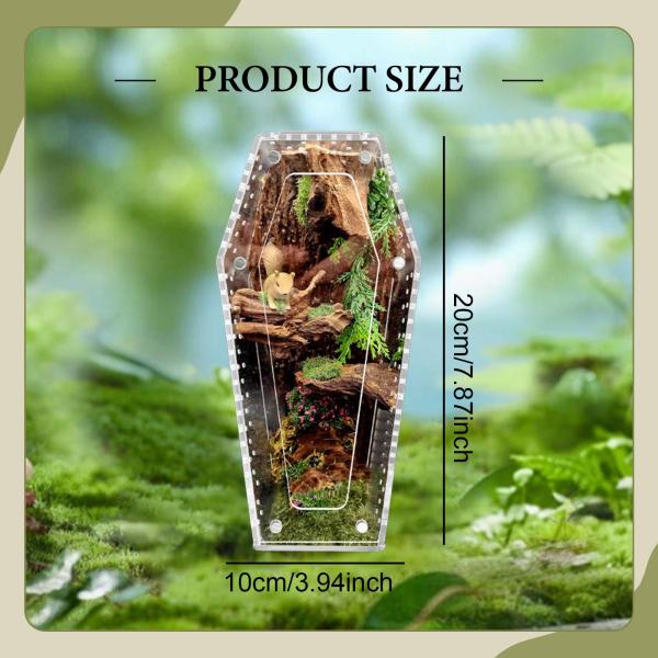 アクリル製ハエトリグモ飼育ケース テラリウムコンテナ 陸生動物または樹上動物用 小型両生類生息地 クモタンク