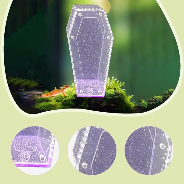 アクリル製タランチュラ飼育ケース、タランチュラ飼育箱、爬虫類箱、透明ヤドカリ、通気孔付きクモテラリウム