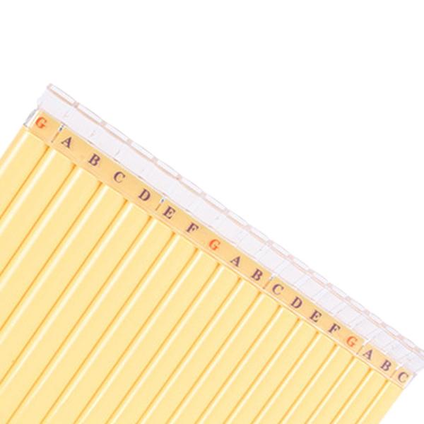 パンパイプ Cキー 木管楽器 初心者向け 弾きやすい樹脂製