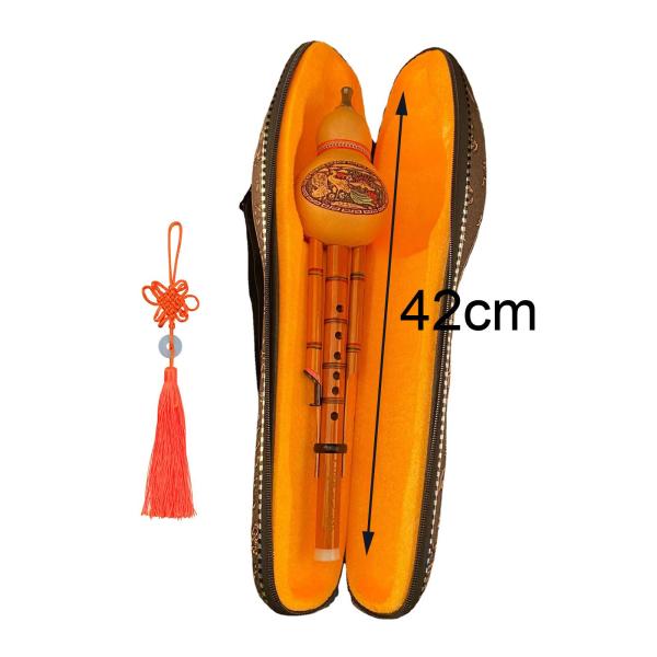 Hulusi フルート楽器 ウリフルート 収納バッグケース付き 中国Hulusi管楽器 Cキー 子供 大人 初心者 学生 ギフト