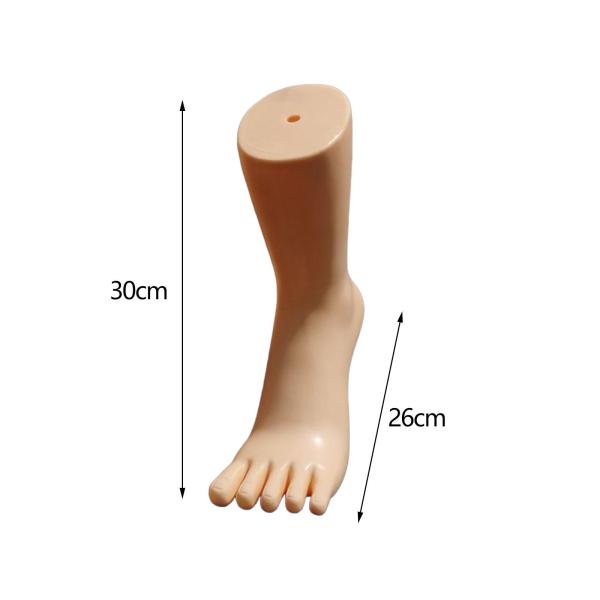 マネキンの足モデル靴ディスプレイショップ用モデル靴下ディスプレイ靴下チェーン肌の色左