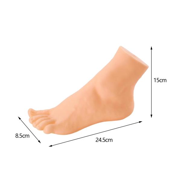 マネキン足ディスプレイ耐久性のある軽量足モデルショップ小売チェーン男性左足