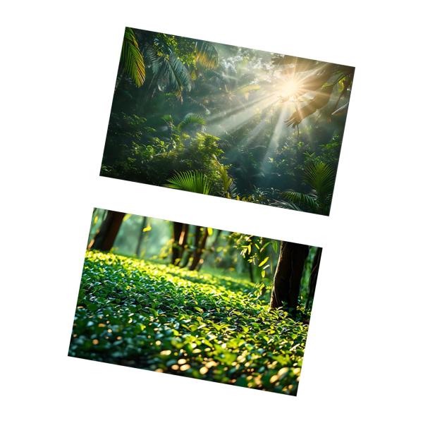 写真撮影の背景写真の背景化粧品フードショップフラワースタイルb