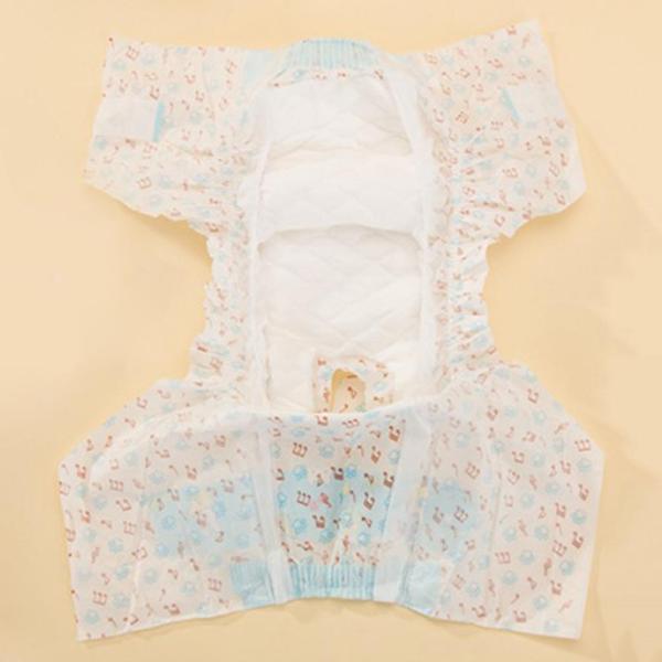 10x小型中型犬用おむつは下着の漏れ防止用ラップXXS / XS / S / M / L / XL
