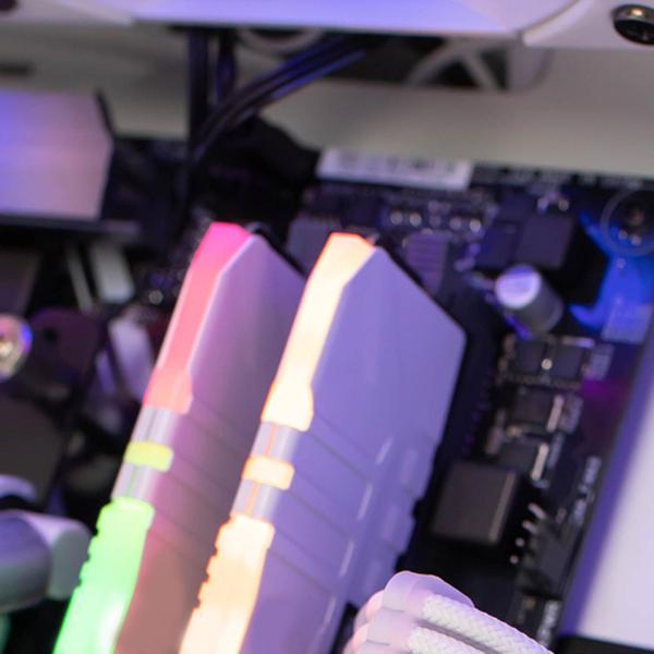 24xケーブルコーム24ピン8ピン6ピンPCケーブルタイ3.0-3.6mmワイヤー整理キットコードドレッサー用に3種類セット