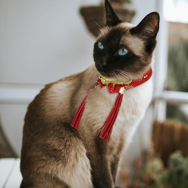 かわいいペットの首輪猫蝶ネクタイ新年ドレスアップパーティーフェスティバルコスチューム