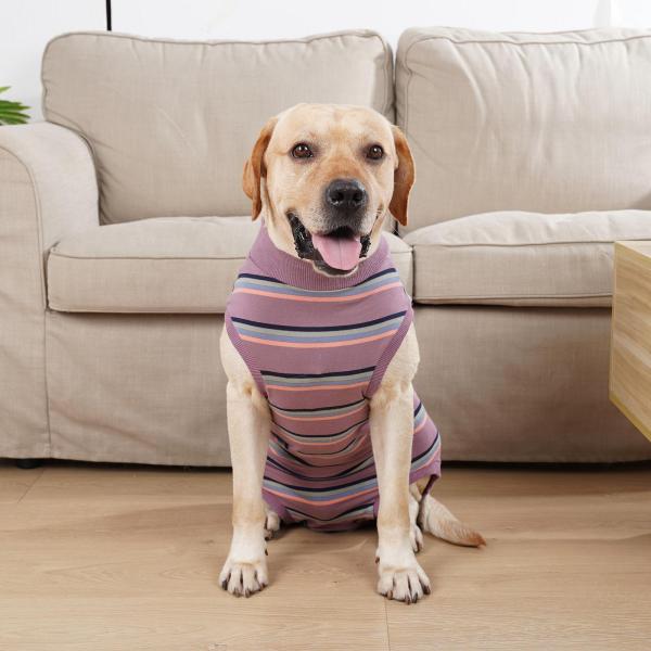 ペット生理服ペット用品通気性おむつジャケット犬服