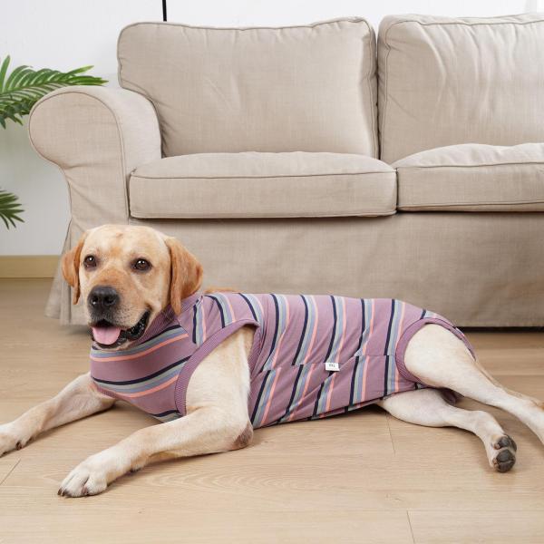 ペット生理服ペット用品通気性おむつジャケット犬服