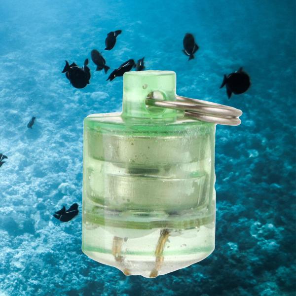 ベイト ランプ アクセサリー フィッシュ 魅力的な水中釣り ディープ ドロップ