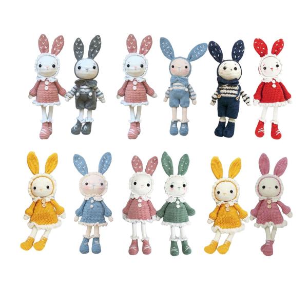 初心者のための手作りかぎ針編みキット かわいいウサギのすべてのかぎ針編みを学ぶ