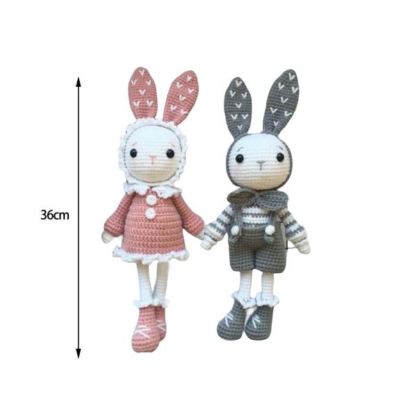 初心者のための手作りかぎ針編みキット かわいいウサギのすべてのかぎ針編みを学ぶ
