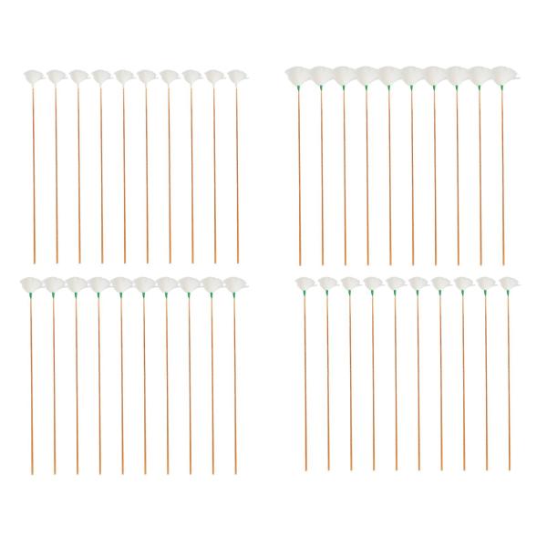 10 個のガチョウの羽の耳かき大人のための快適な耳スプーン耳掃除ツール