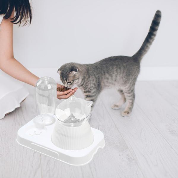 傾斜したキャット フード ボウル ペット フィーダー 給水器、ウォーター ボトル ボウル、子犬の子猫用の取り外し可能なドリンク ファウンテン