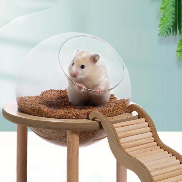 ハムスターサンドバスコンテナ バスルーム 木製トイレ ペットのおもちゃ 大きくて透明なハムスターサンドバスボックス 小動物用バス チンチラス