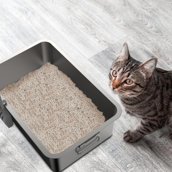 猫トイレ 屋内猫用 猫トイレ ステンレス鋼 猫用品 モダン猫サンドボックス 掃除簡単 オープントップ ペット砂トレイ