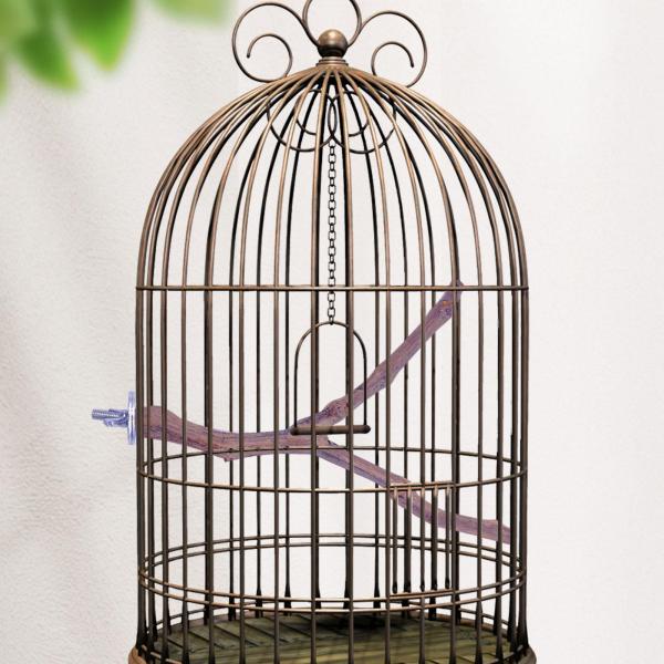木製鳥止まり木オウムスタンドブランチ、登山立ってブドウの棒、フィンチ、セキセイインコ、オカメインコ用のオウムケージのおもちゃ