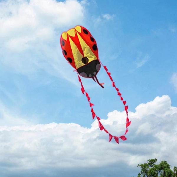 100mラインとテールポータブル動物型カイトスポーツカイトとヤードビーチパークの誕生日プレゼントを備えたレディバードカイト屋外おもちゃ