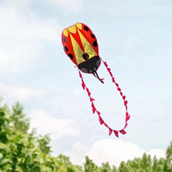 100mラインとテールポータブル動物型カイトスポーツカイトとヤードビーチパークの誕生日プレゼントを備えたレディバードカイト屋外おもちゃ