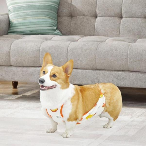 犬用ストマッカー オスペット用 犬ベリーラップ 快適な腹部保護 小型子犬ペット布カバー アクセサリー