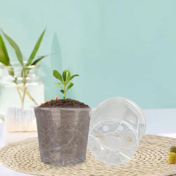 20 個 苗床植物コンテナスターターポット透明軽量簡単移植栽培ツール植木鉢バルコニーの植え付け用