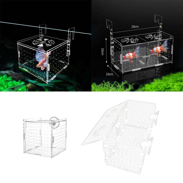 水槽用魚飼育箱 セパレーターブリーダー隔離箱 小型稚魚 エビ