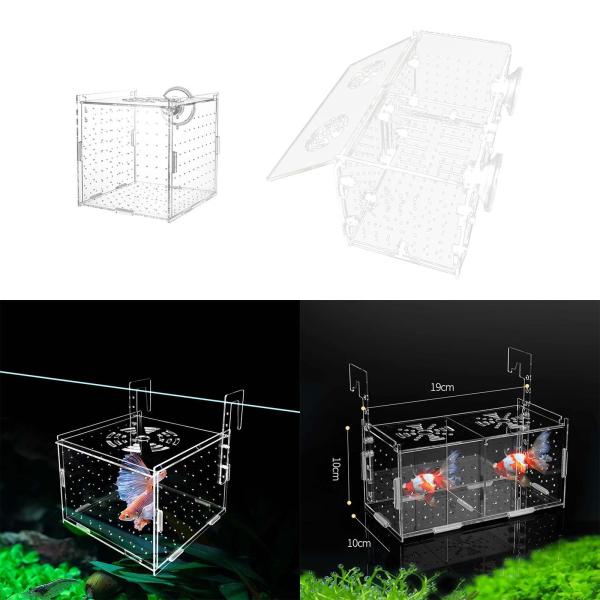 水槽用魚飼育箱 セパレーターブリーダー隔離箱 小型稚魚 エビ