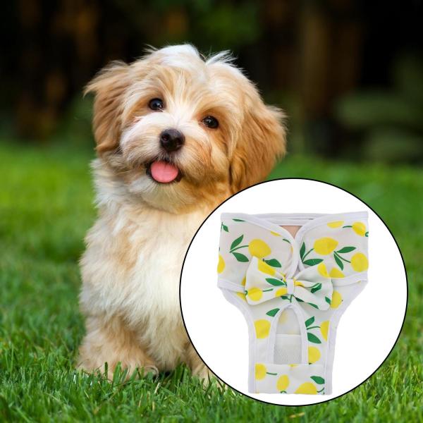 犬用おむつ 犬用ヒートパンツ 快適 再利可能 漏れ防止 ラップ保護 お手入れ簡単 おむつ 女