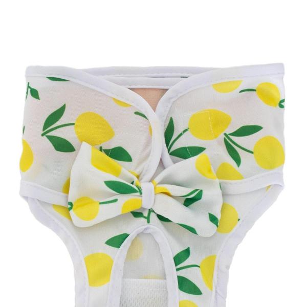 犬用おむつ 犬用ヒートパンツ 快適 再利可能 漏れ防止 ラップ保護 お手入れ簡単 おむつ 女