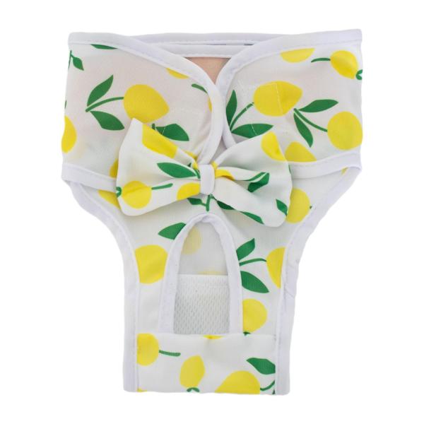 犬用おむつ 犬用ヒートパンツ 快適 再利可能 漏れ防止 ラップ保護 お手入れ簡単 おむつ 女