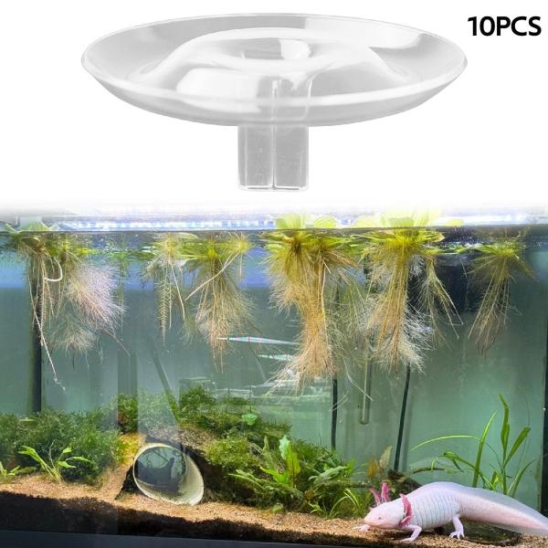 10 個入り 水耕栽培用フローティングフラワーホルダー フラワーアレンジメント 植物ホルダー ディスプレイフラワーラック 本棚 リビングルーム キッチ