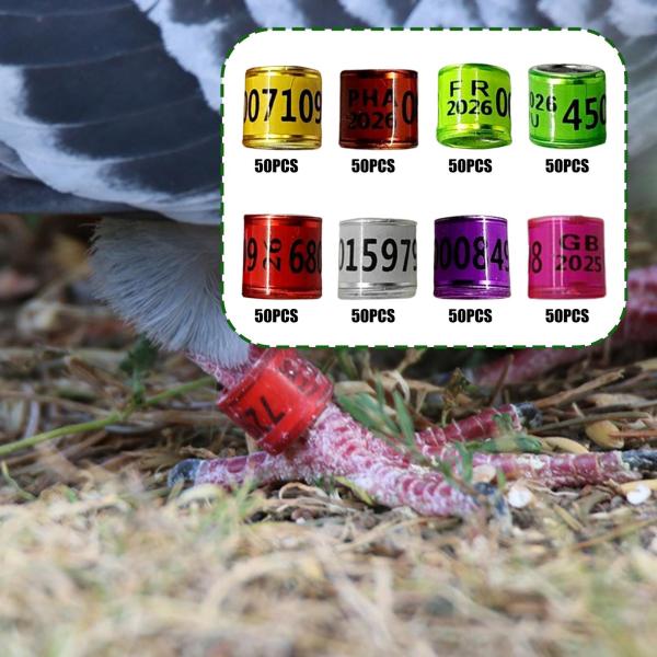 50 個 鳩の足輪 識別バンド タグ 家禽用品 鳩の足輪 カナリア用鳥類管理ツール