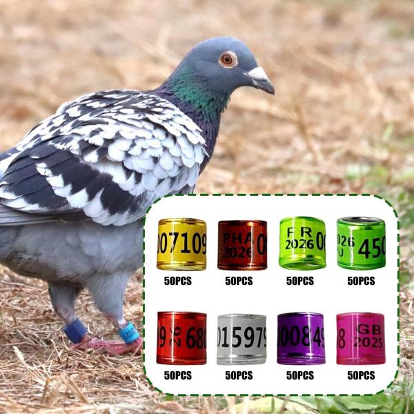 50 個 鳩の足輪 識別バンド タグ 家禽用品 鳩の足輪 カナリア用鳥類管理ツール