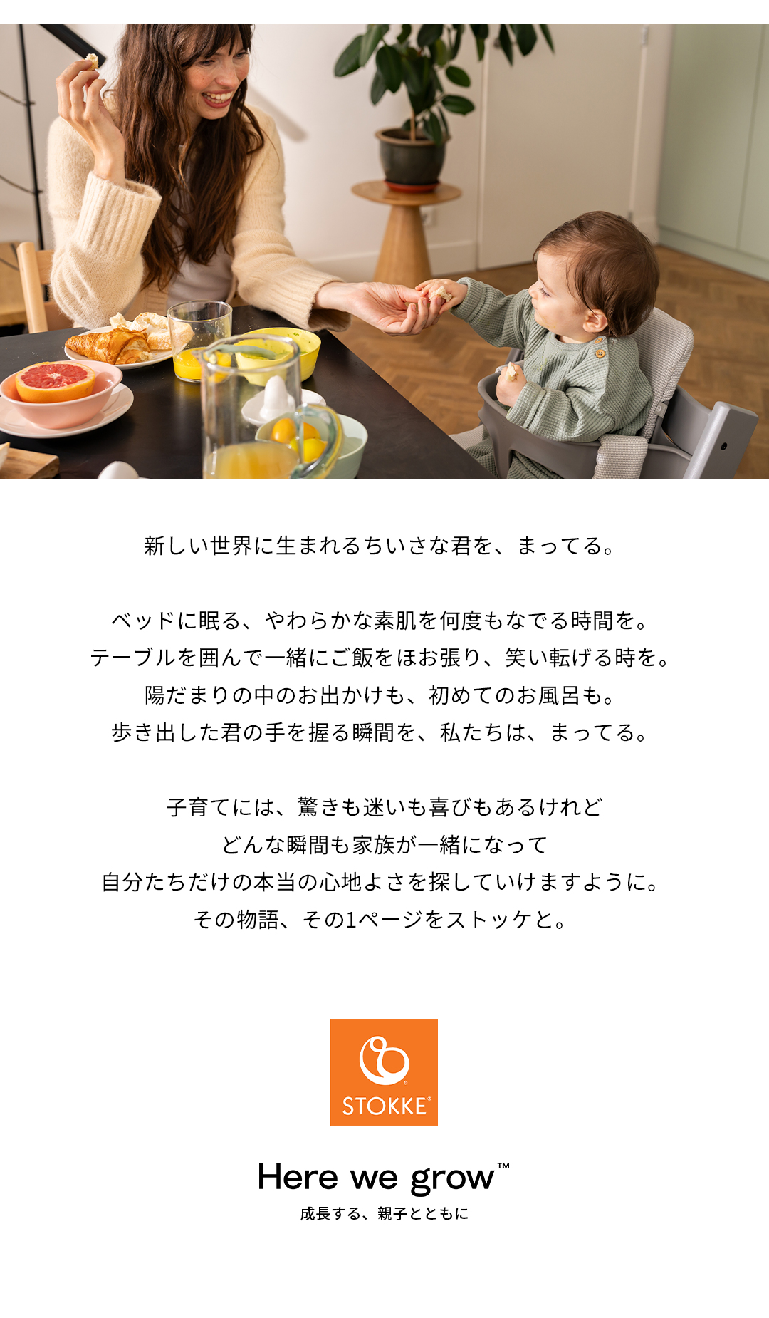 ストッケ公式 Yahoo!店 - Yahoo!ショッピング