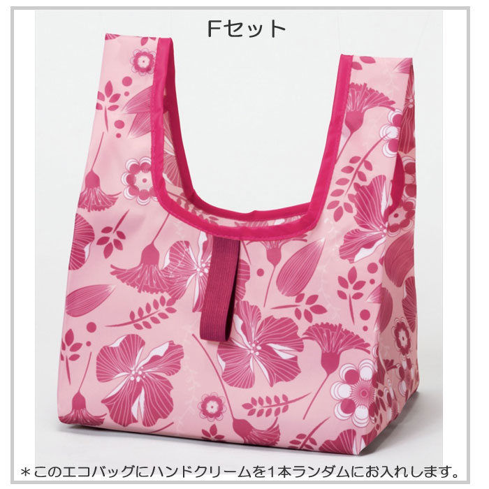 ギフトセット エコバッグ ハンドクリーム 2点 ちょこっとエコバッグ お