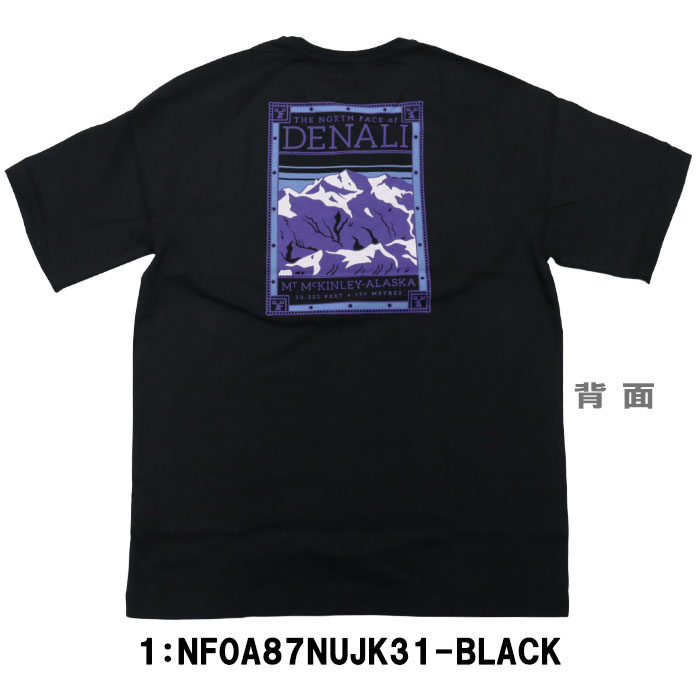 THE NORTH FACE ザ ノースフェイス 半袖 Tシャツ メンズ