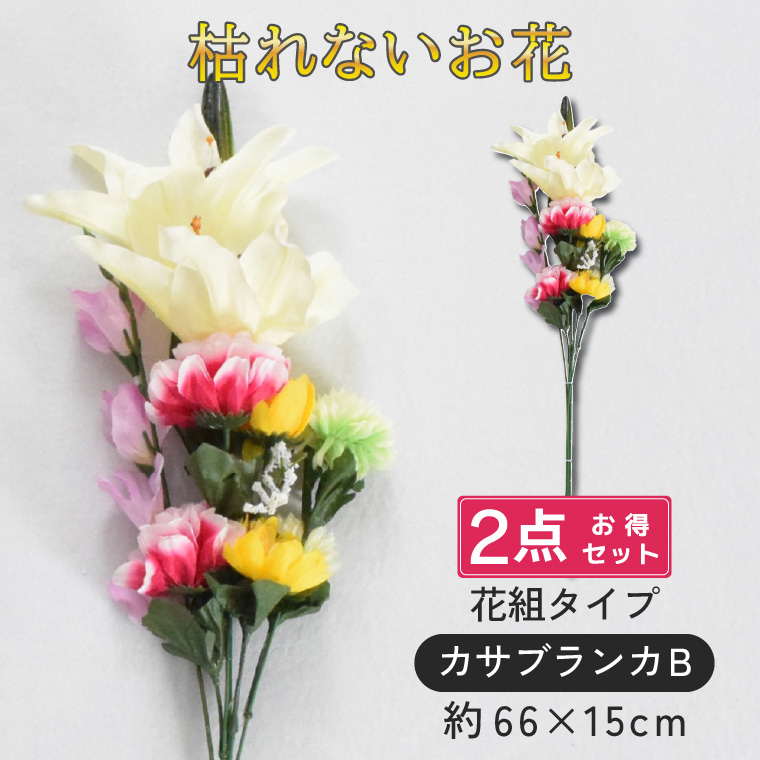 d    dp p O 2Zbg   ԑ @  ~ ފ   ~ V~ 蕨 O JTuJB ̓