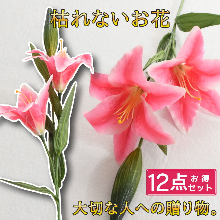  JTuJ  12{Zbg  Zbg IG^[ AWg   d dp @  ~ ފ  zCg sN