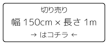 サイズ