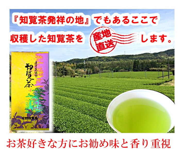 日本茶 白川茶 緑茶、煎茶90g - その他