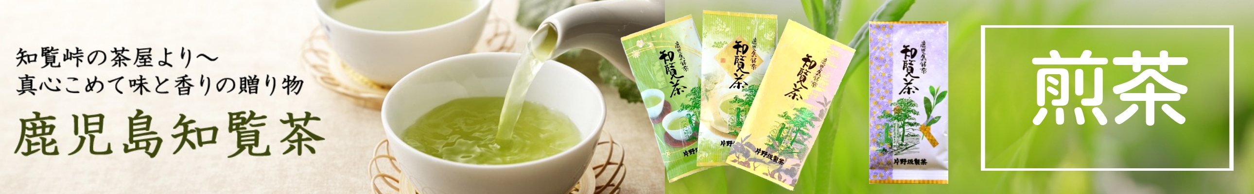 お茶の製造・直売片野坂製茶 ヘッダー画像