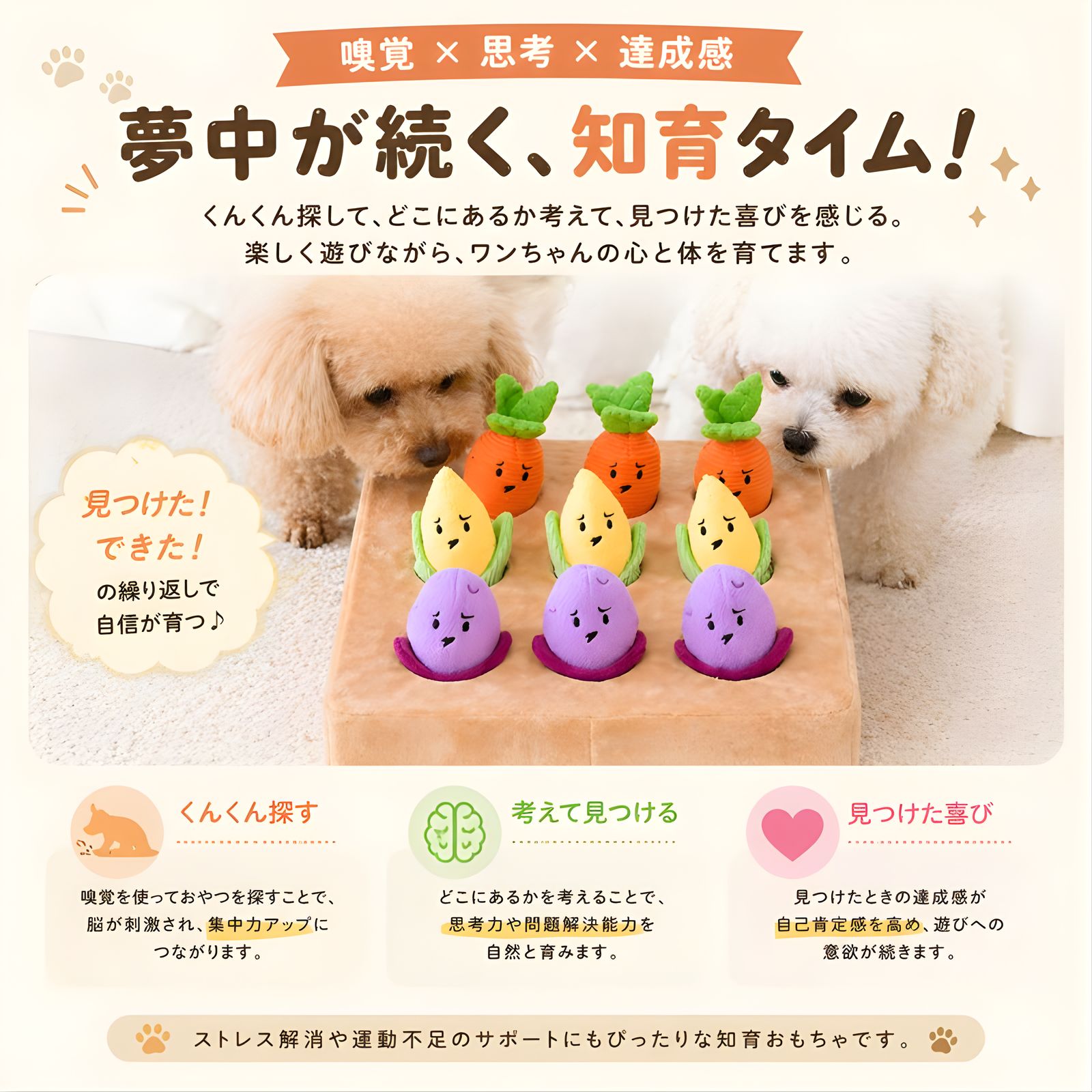 嗅覚 思考 達成感 犬 知育トレーニング