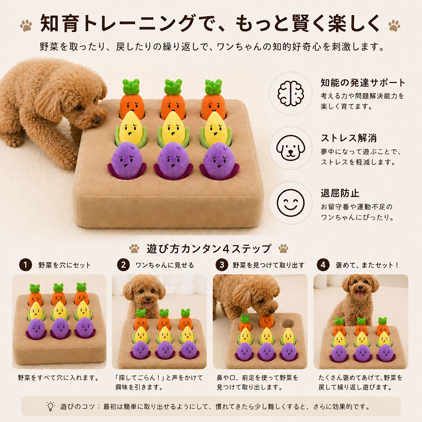 知育トレーニング 犬 ノーズワーク 遊び方4ステップ
