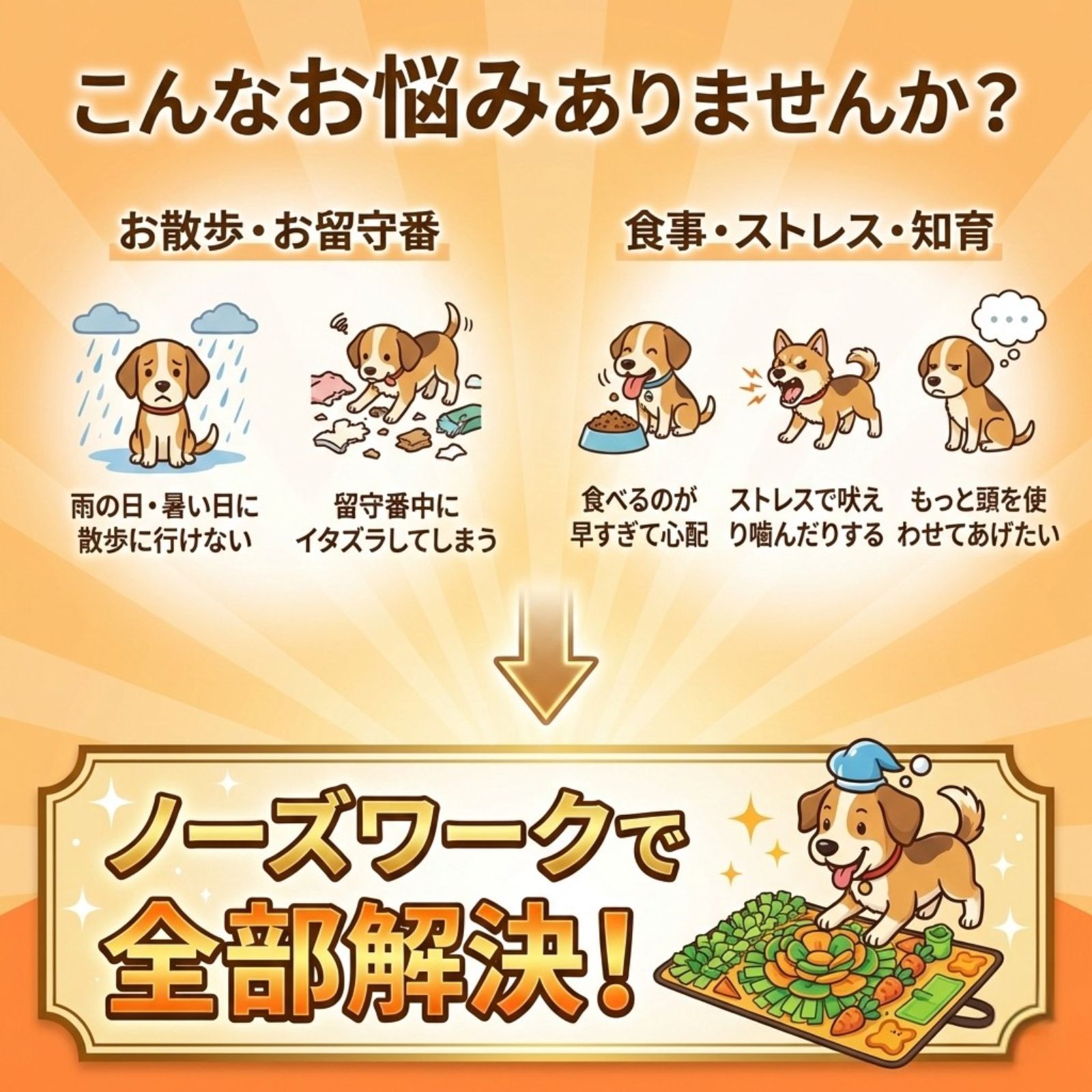 dog_troubles_solution