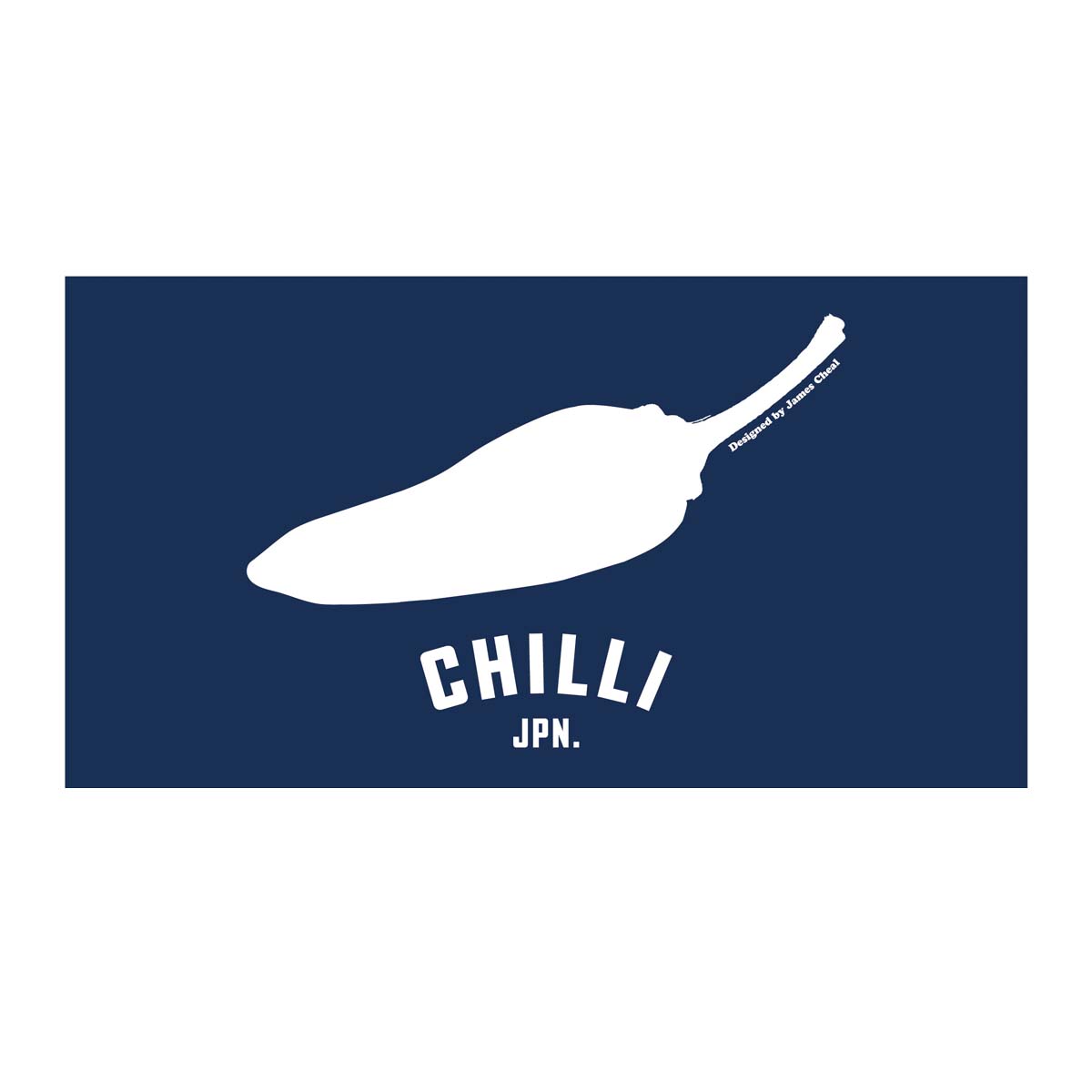 23 SS CHILLI チリ バスタオル JAPAN TOWEL ジャパン ビーチタオル