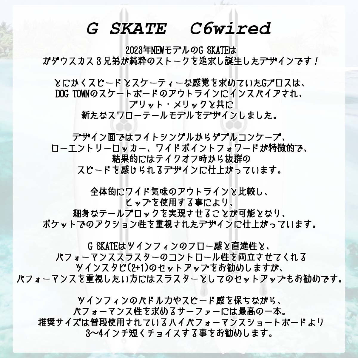 CHANNEL ISLANDS SURFBOARDS 25 サンダーボルト チャンネル