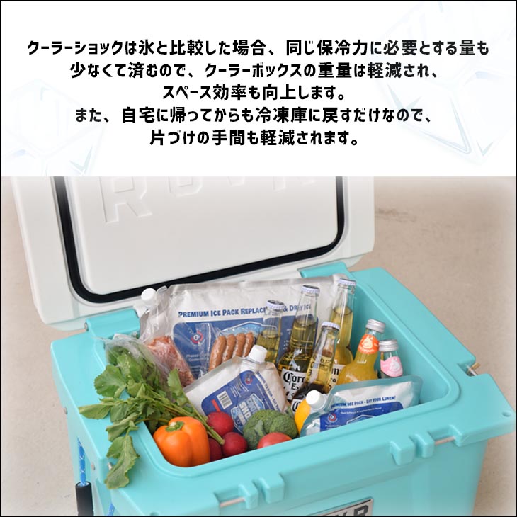 津田商会 保冷剤 クーラーショック COOLER SHOCK Lサイズ 単品