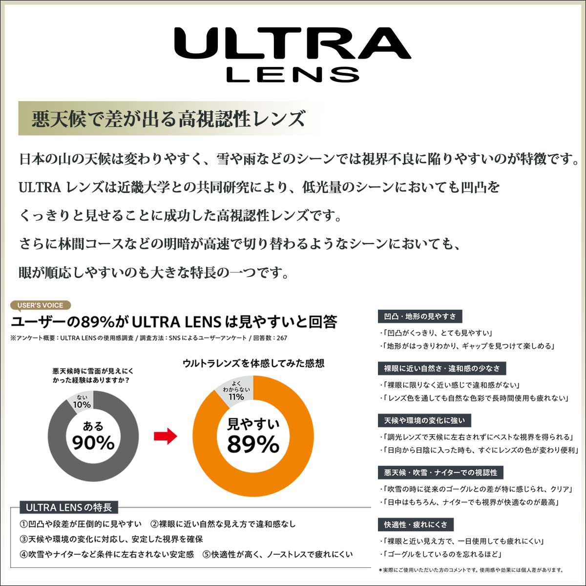 26年10月上〜11月上 予約 26/27 スノー dice ダイス スノーゴーグル