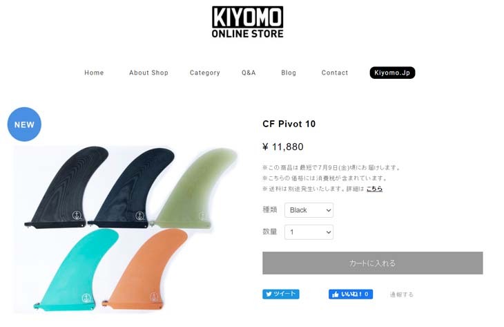 CAPTAIN FIN（キャプテンフィン） フィン CF PIVOT 10 ピボット ロング