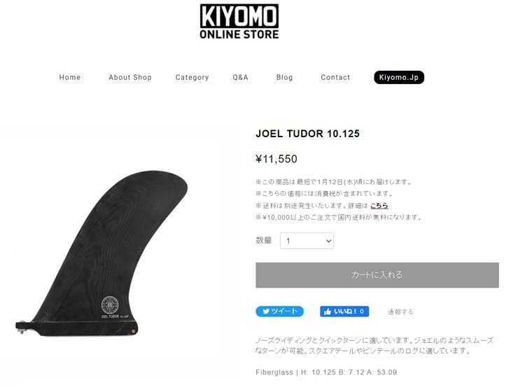 CAPTAIN FIN ロングボード用フィン CO. JOEL TUDOR PIVOT 10.125