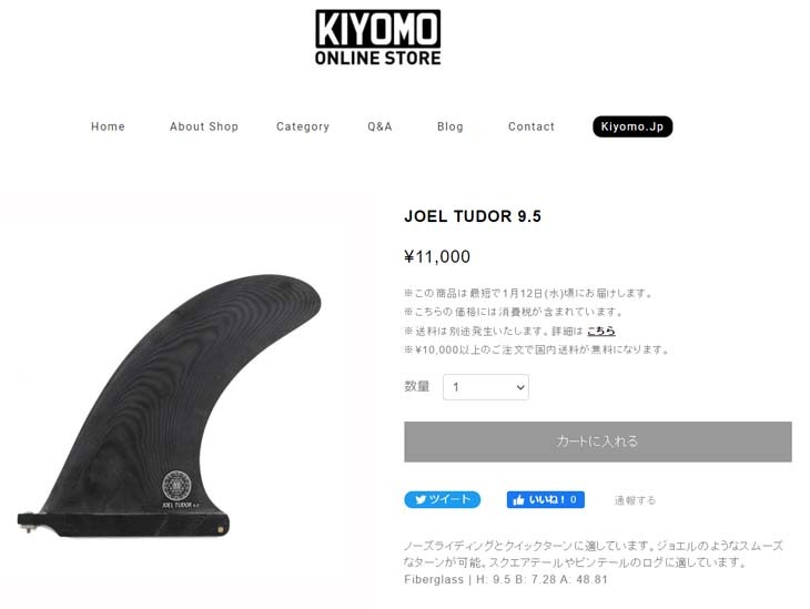 CAPTAIN FIN ジョエルチューダー ピボット 9.5 フィン stradiy_joel-pivot95